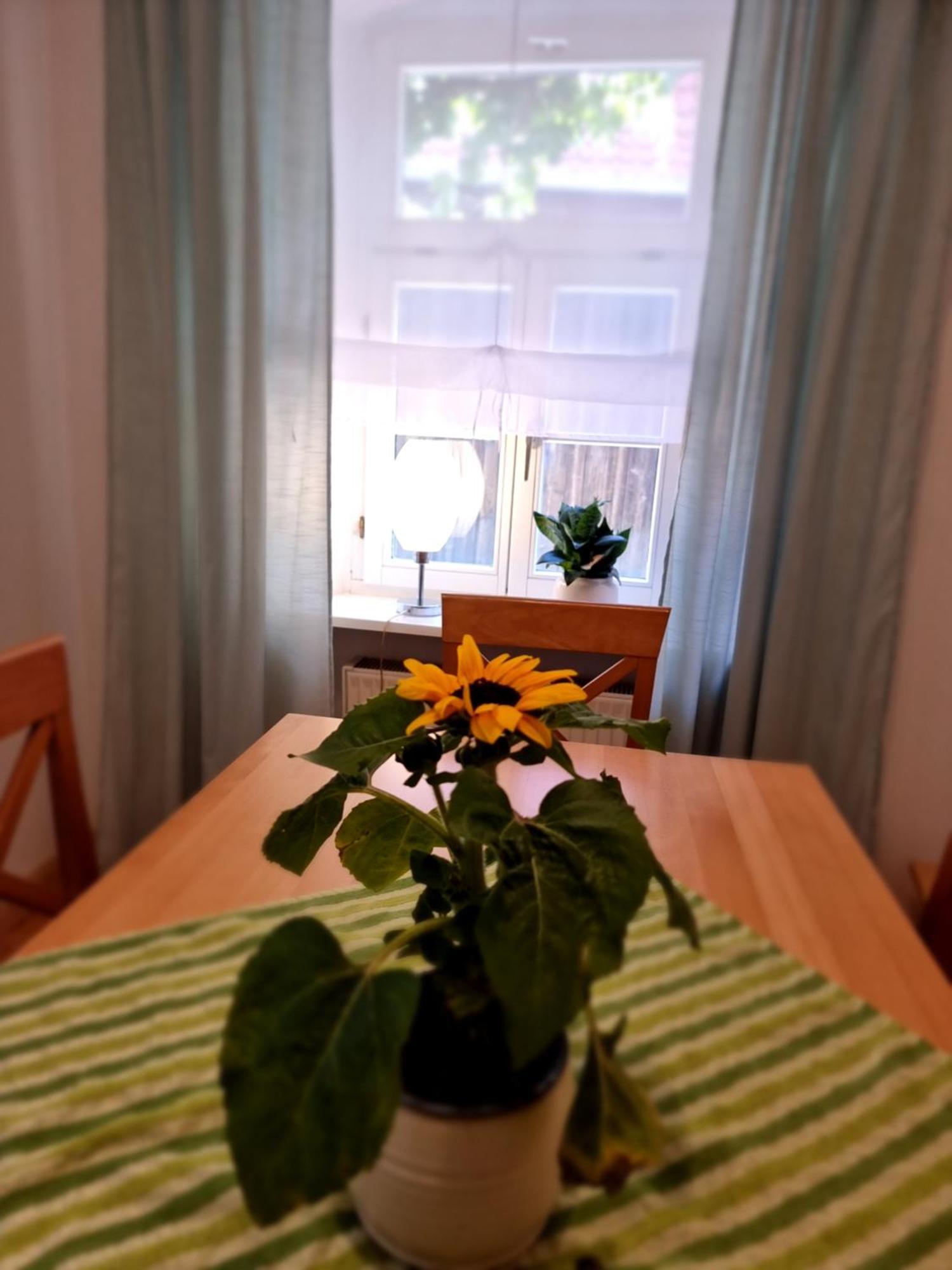 Ferienwohnung Boehm Segnitz Szoba fotó